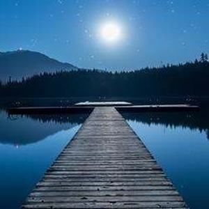 Meet your Posher, Zema